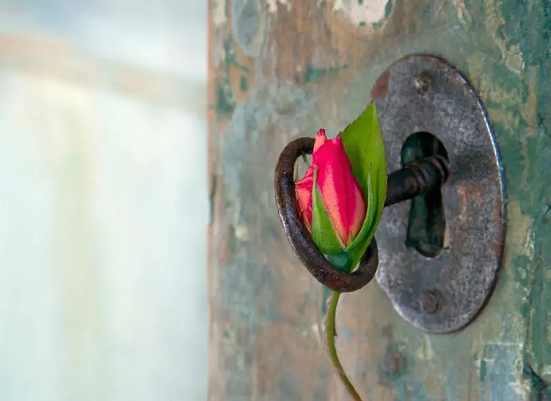 Rote Rose hängt in Türschloss